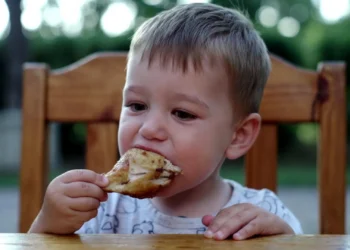 Tagli di carne per bambini guida per famiglie con ricette sane